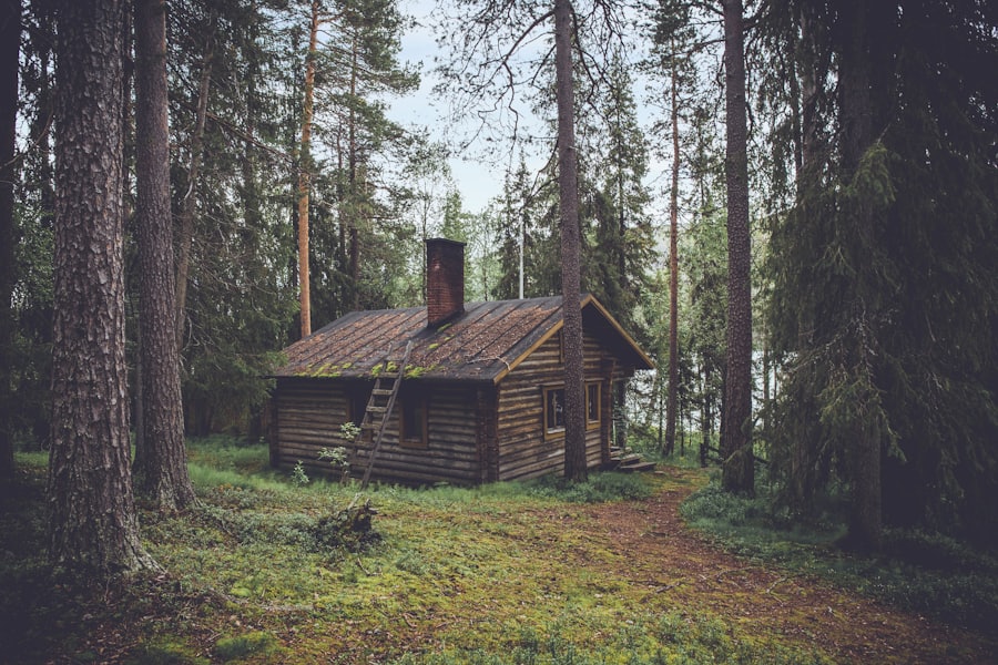 Cabane perchée en forêt de Fontainebleau