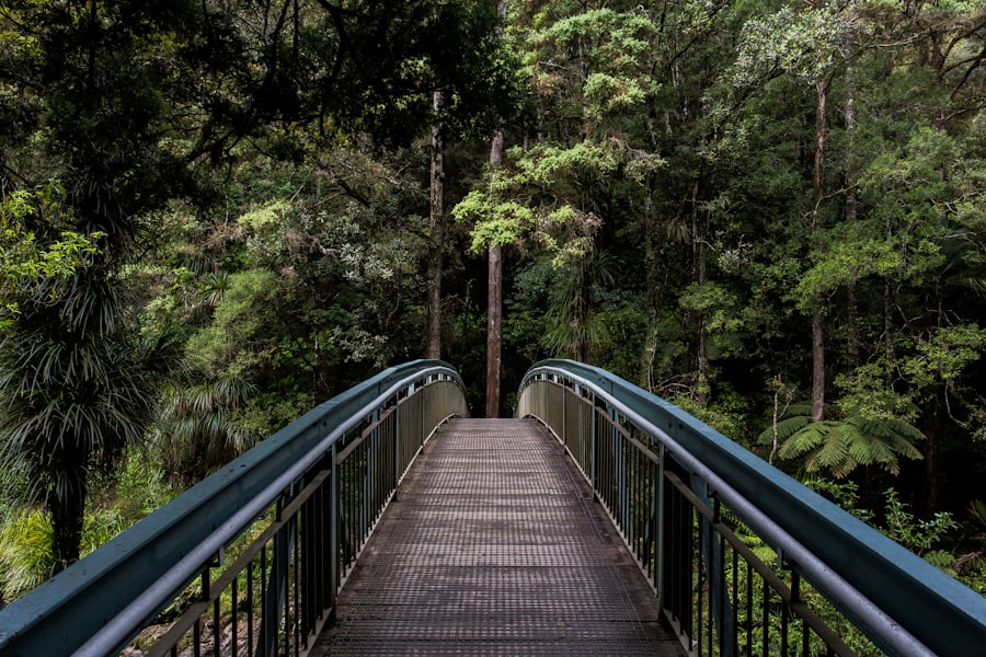 Passerelle en bois traversant la forêt